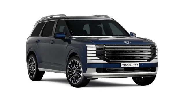 palisade h c7