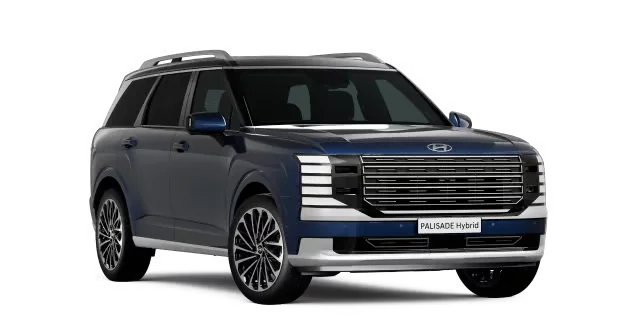 palisade h c8